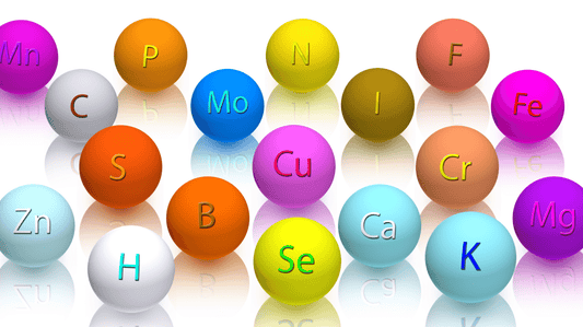 Unveiling the Power of Macronutrients, Micronutrients, and Whole Foods