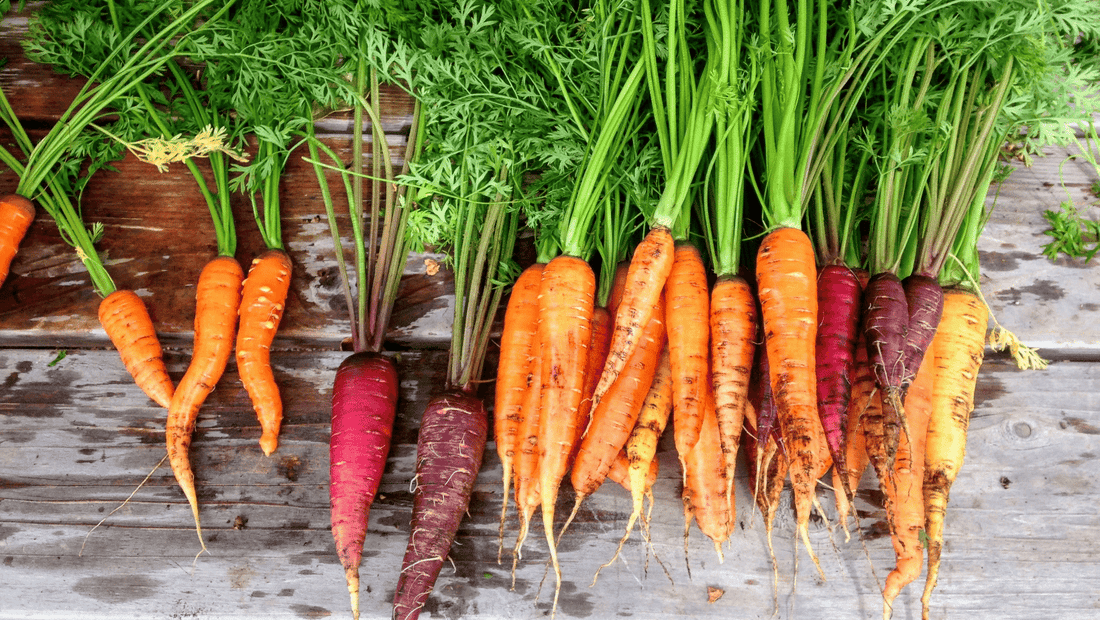 Learn how to peel and cut carrots